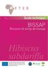 Le guide technique « Boisson & Sirop d’hibiscus ou bissap » (couverture)