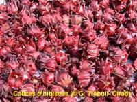 Calices d'hibiscus © G. Trébuil, Cirad